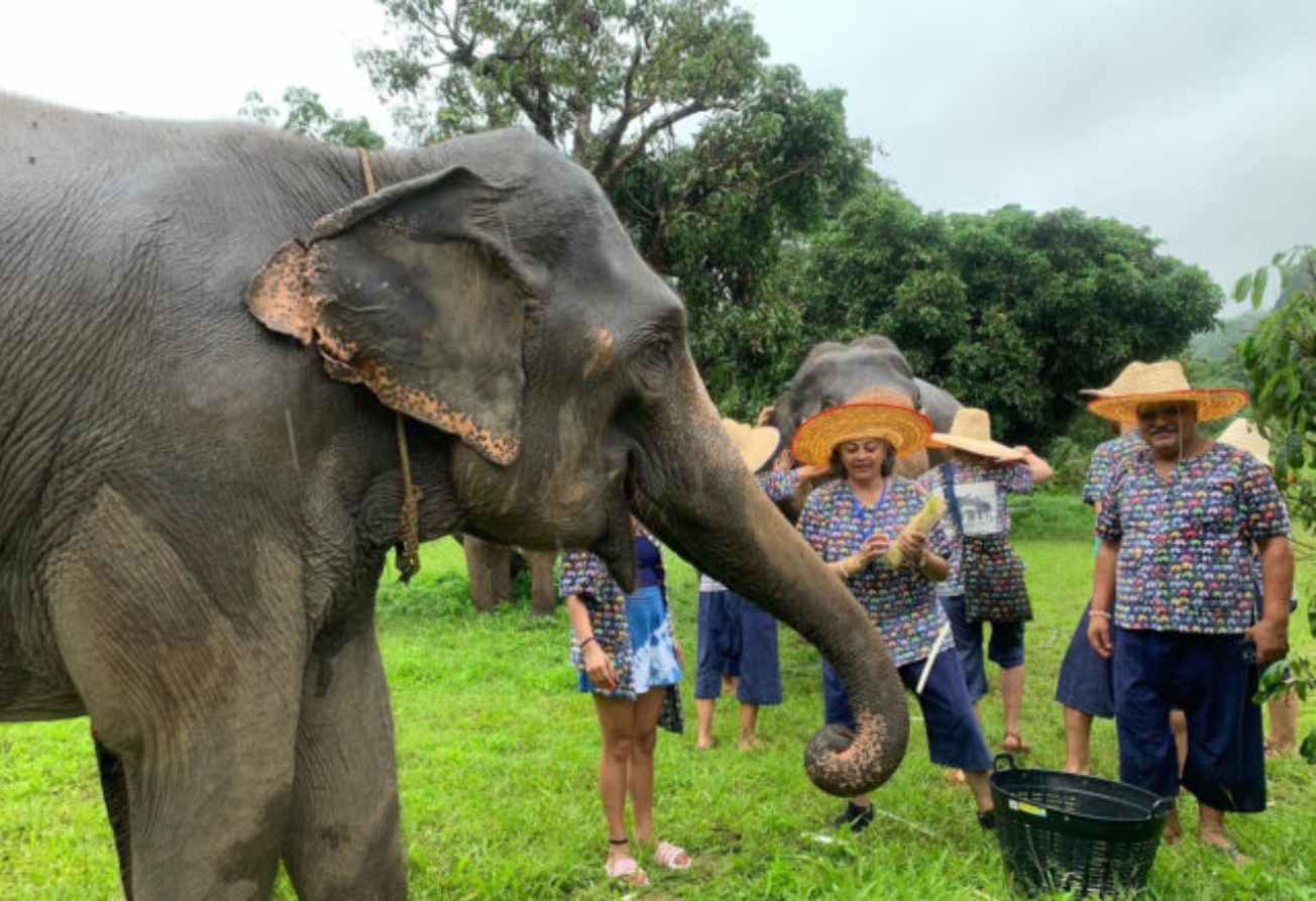 VIETNAM TAILANDIA